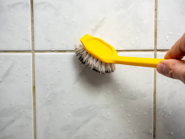 Best Certified Mold Removal  in Crossville, AL