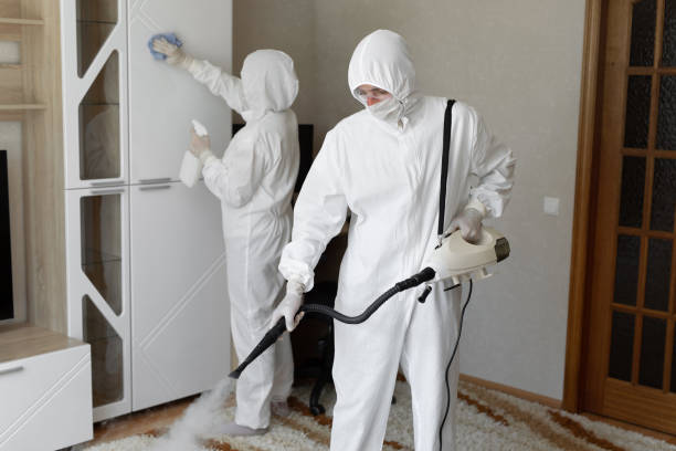 Best Crawl Space Mold Removal  in Crossville, AL