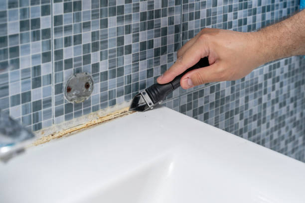Best Mold Remediation Experts  in Crossville, AL