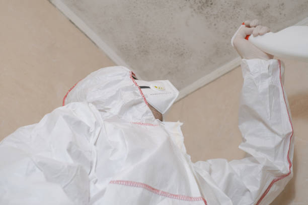 Best Certified Mold Removal  in Crossville, AL